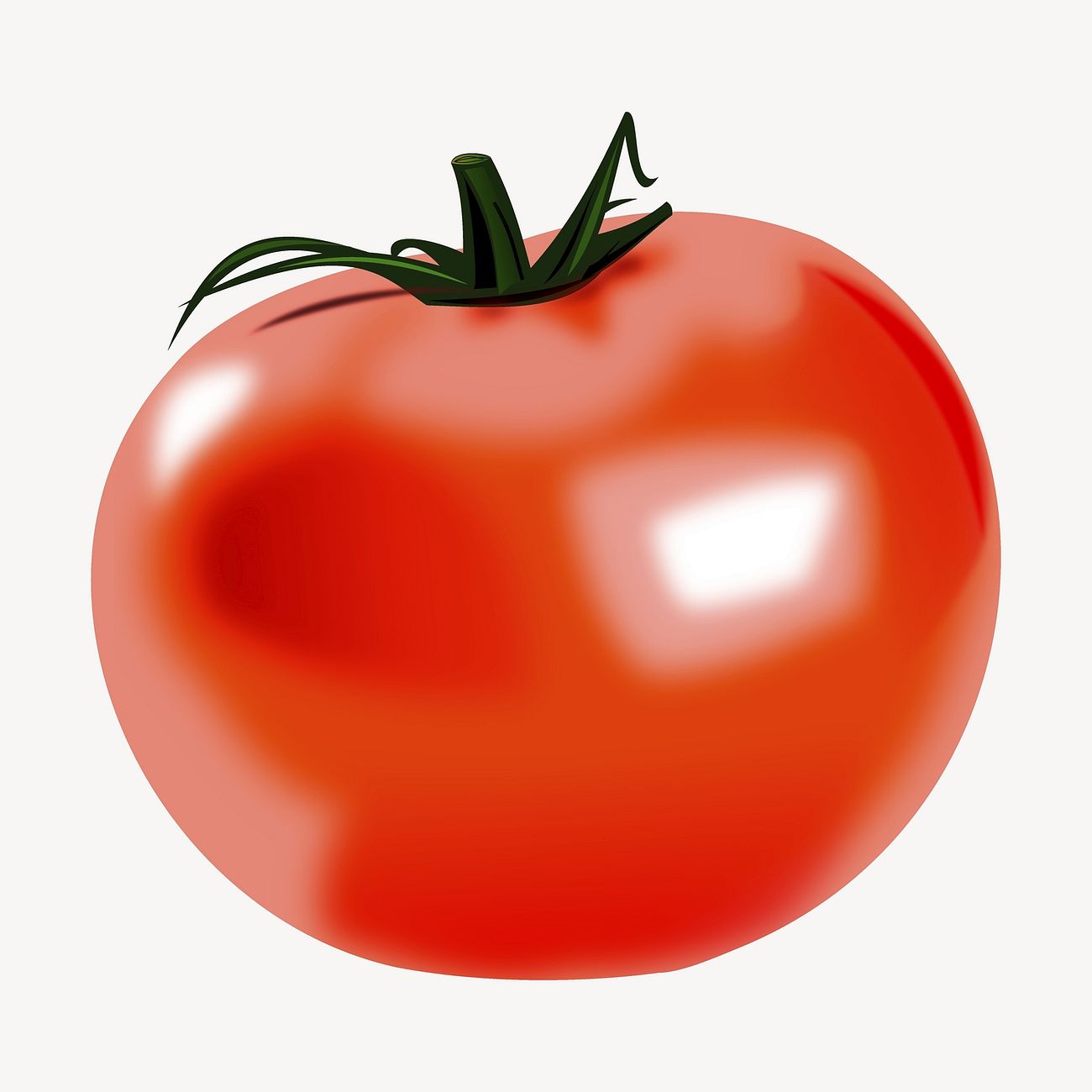 Realistic tomato illustration