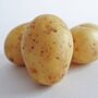 Free potatoes on white background