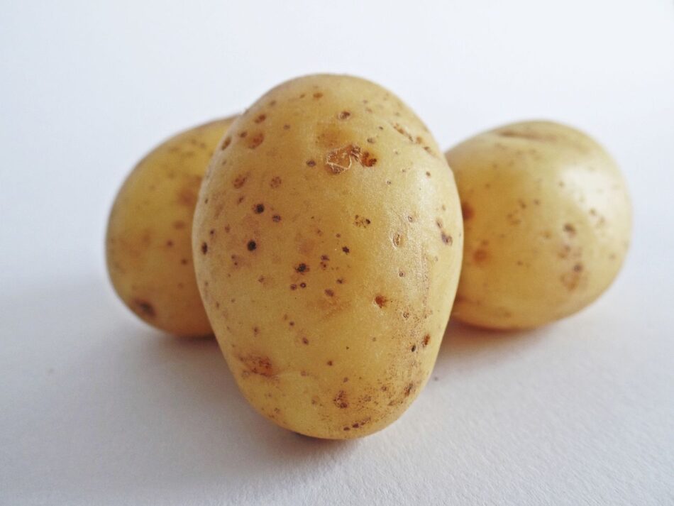 Free potatoes on white background