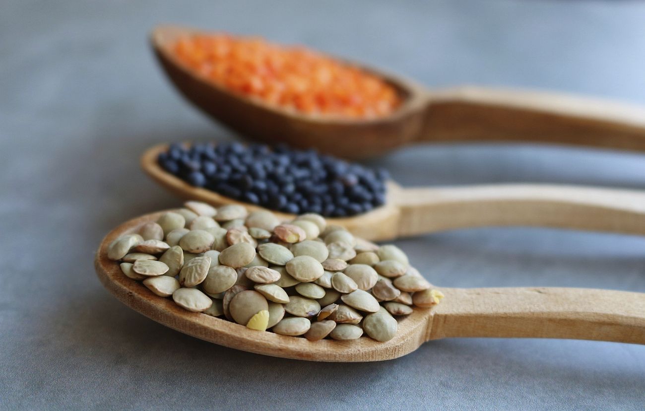 the best nutritions we get each time we eat lentils