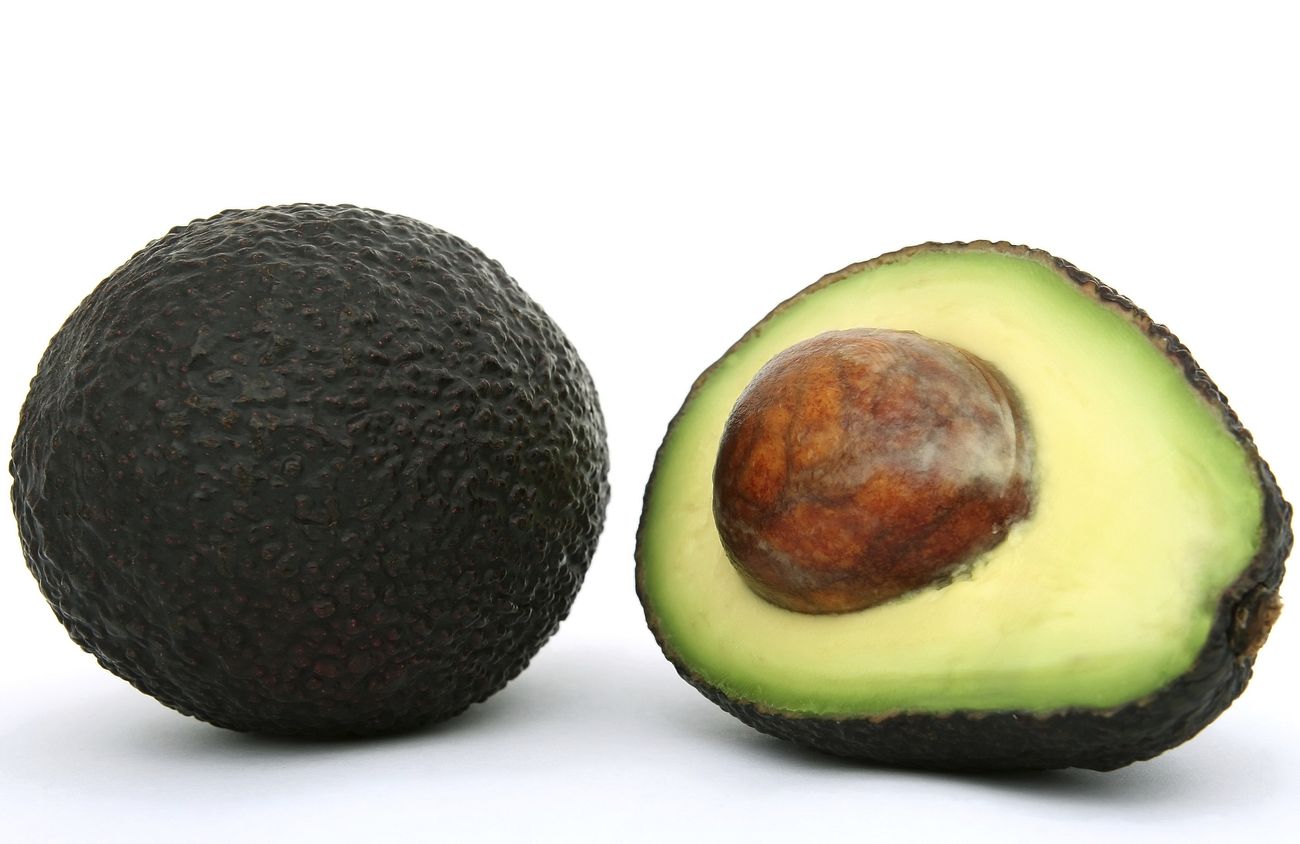 the fascinating history of the avocado, uses and benefits