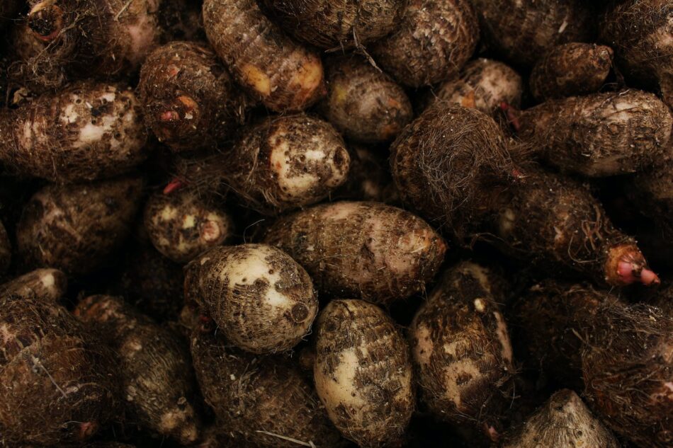 how to include yams in our diet & it's benefits.