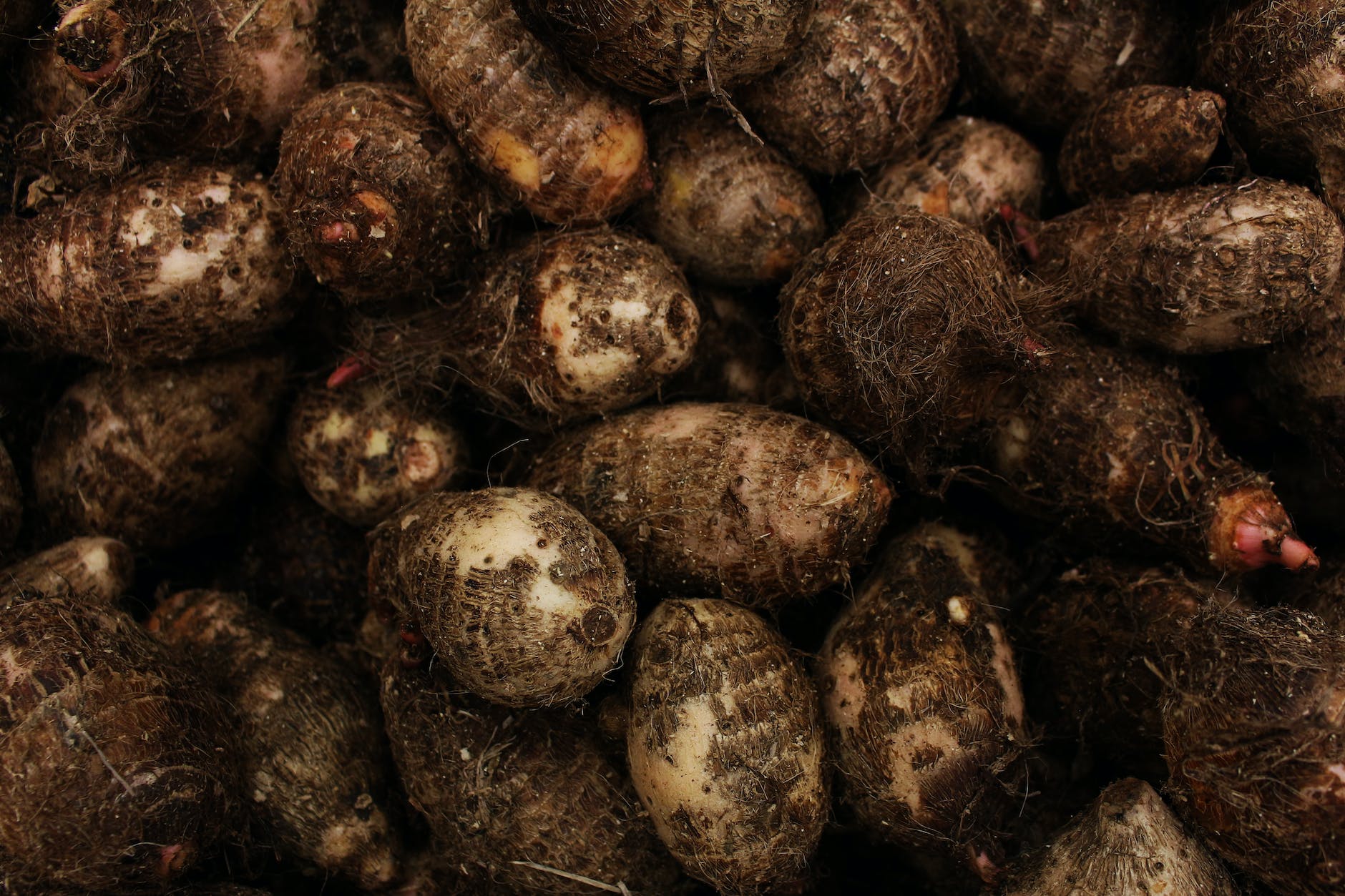 how to include yams in our diet & it's benefits.