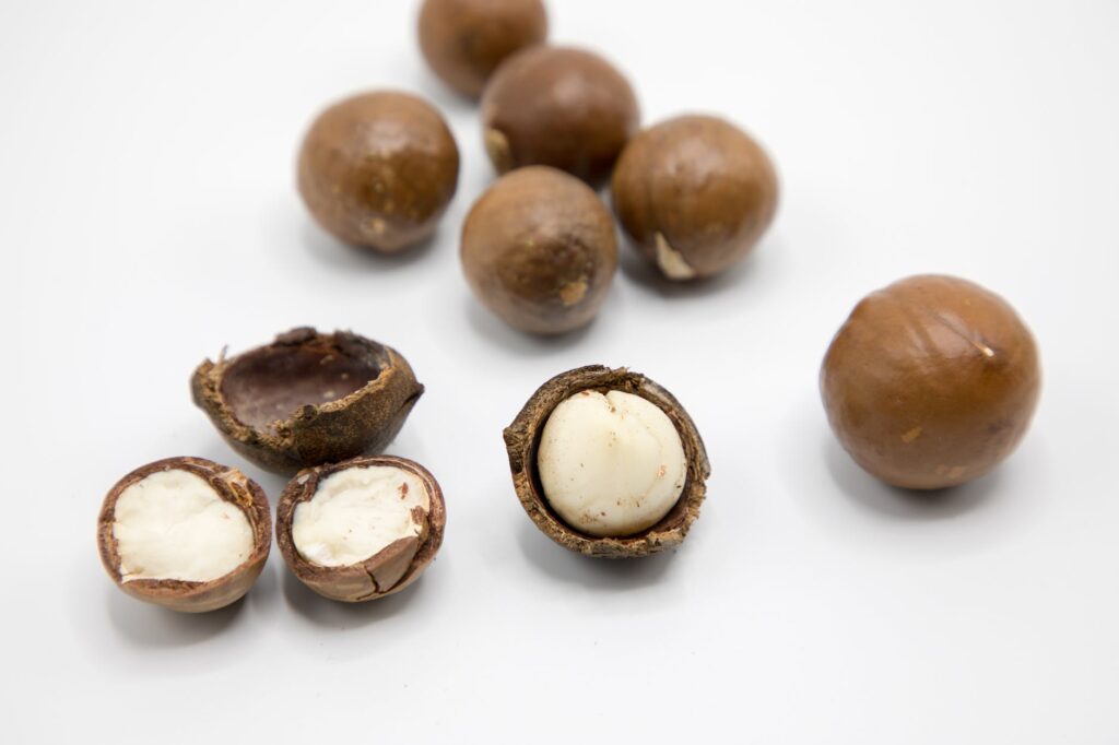 nutritional value of macadamia nuts