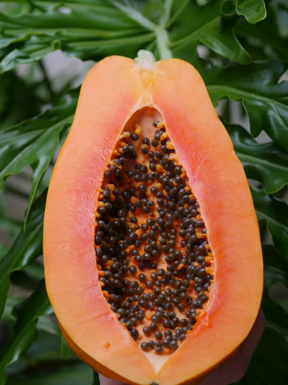 the nutritional benefits of pawpaw and Its origin