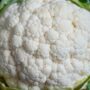 cauliflower is the superfood that will change your life