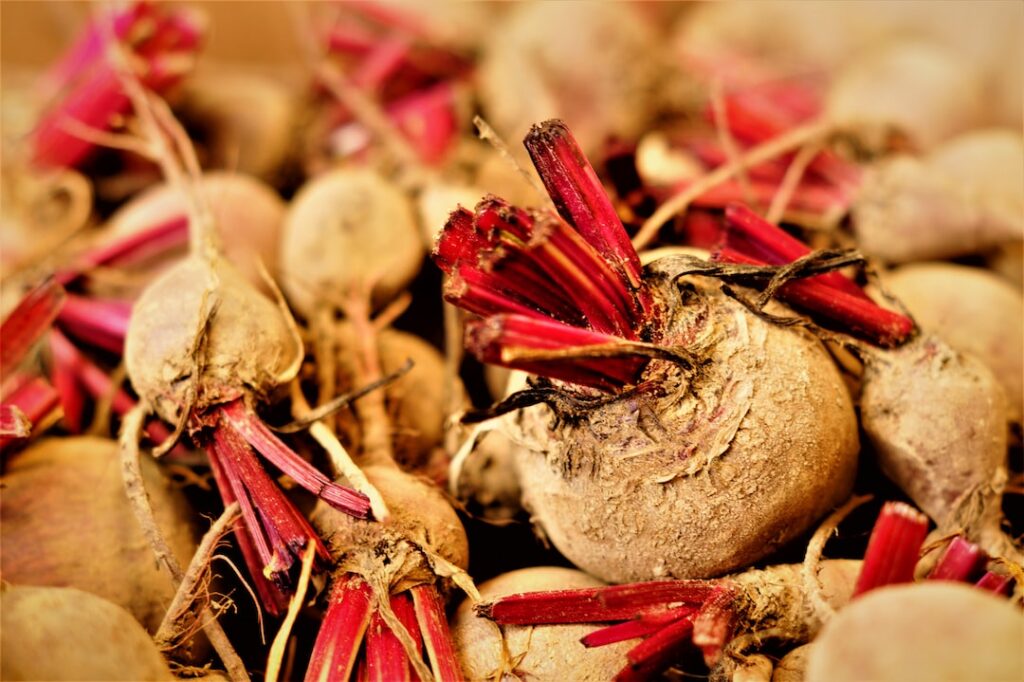 nutritional value of turnips and their use in cuisines