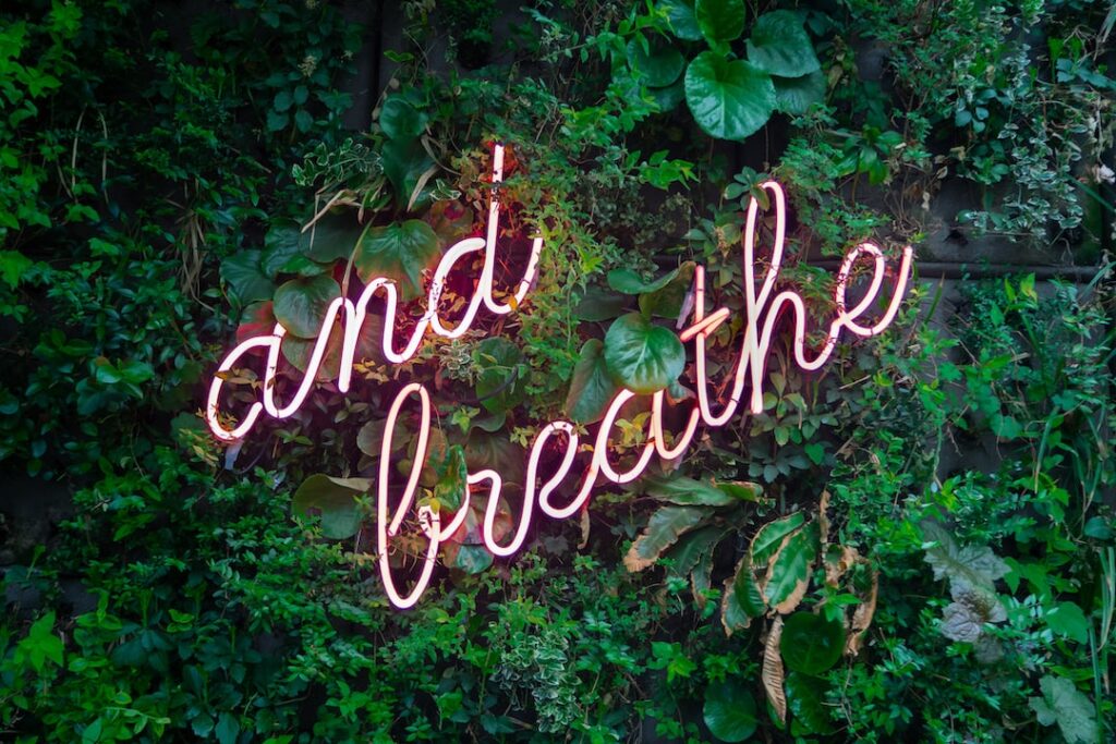 How To Achieve Mental Wellness By Eating Healthy & Workouts