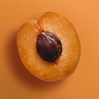 all you need to know about apricot from growth to recipes