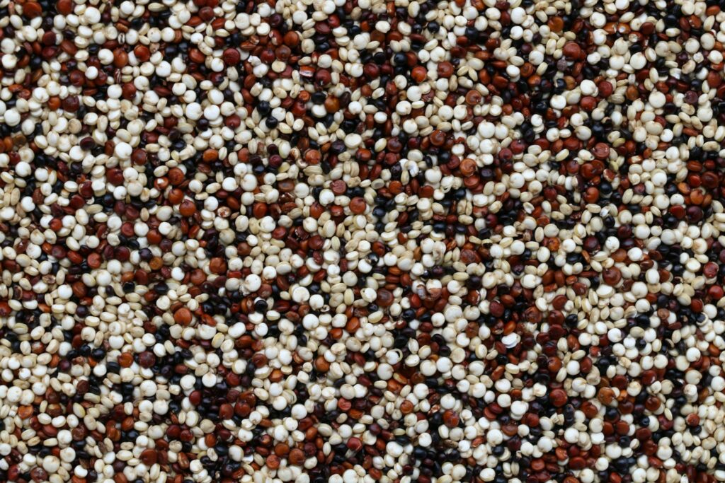 Quinoa Seed Is The Best grain For Weight Loss