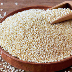 Quinoa Seed Is The Best grain For Weight Loss
