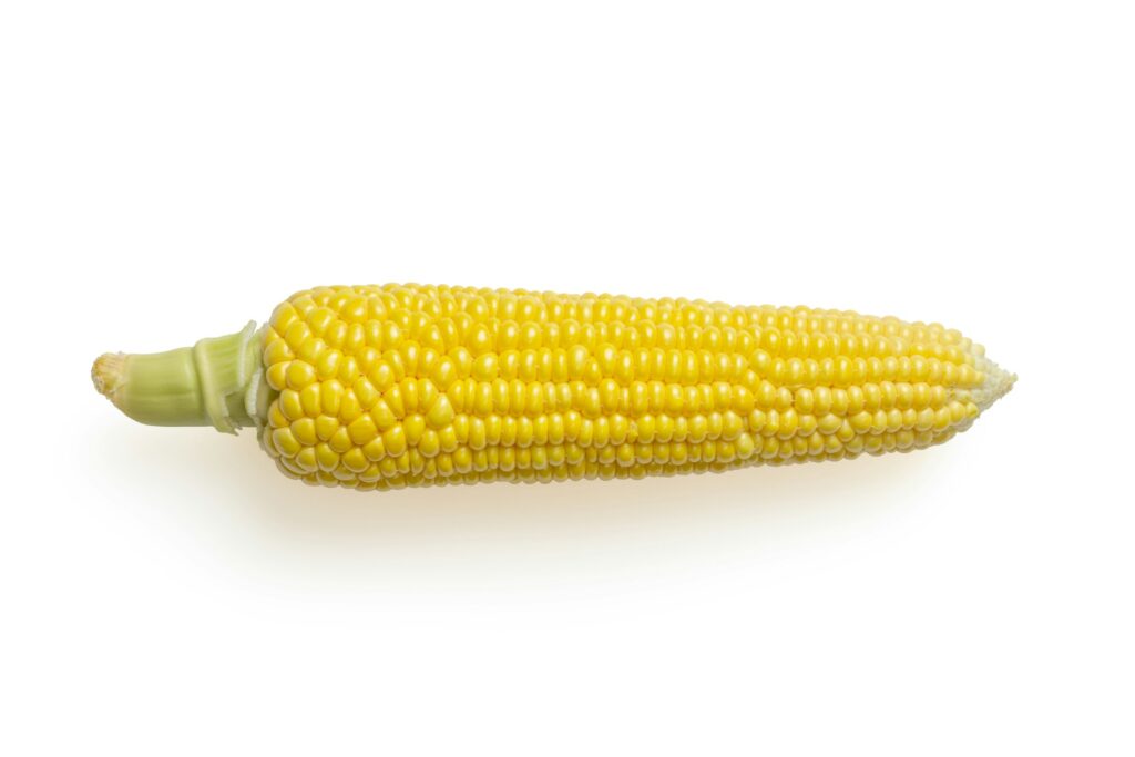 The Best Of Maize From It's Origins To Tasty Recipes