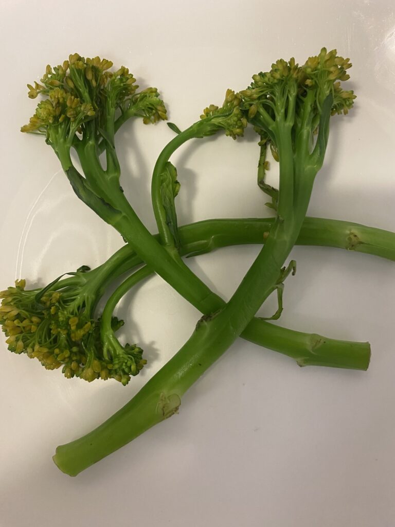 The Best That we can Get From Bimi Vegetable